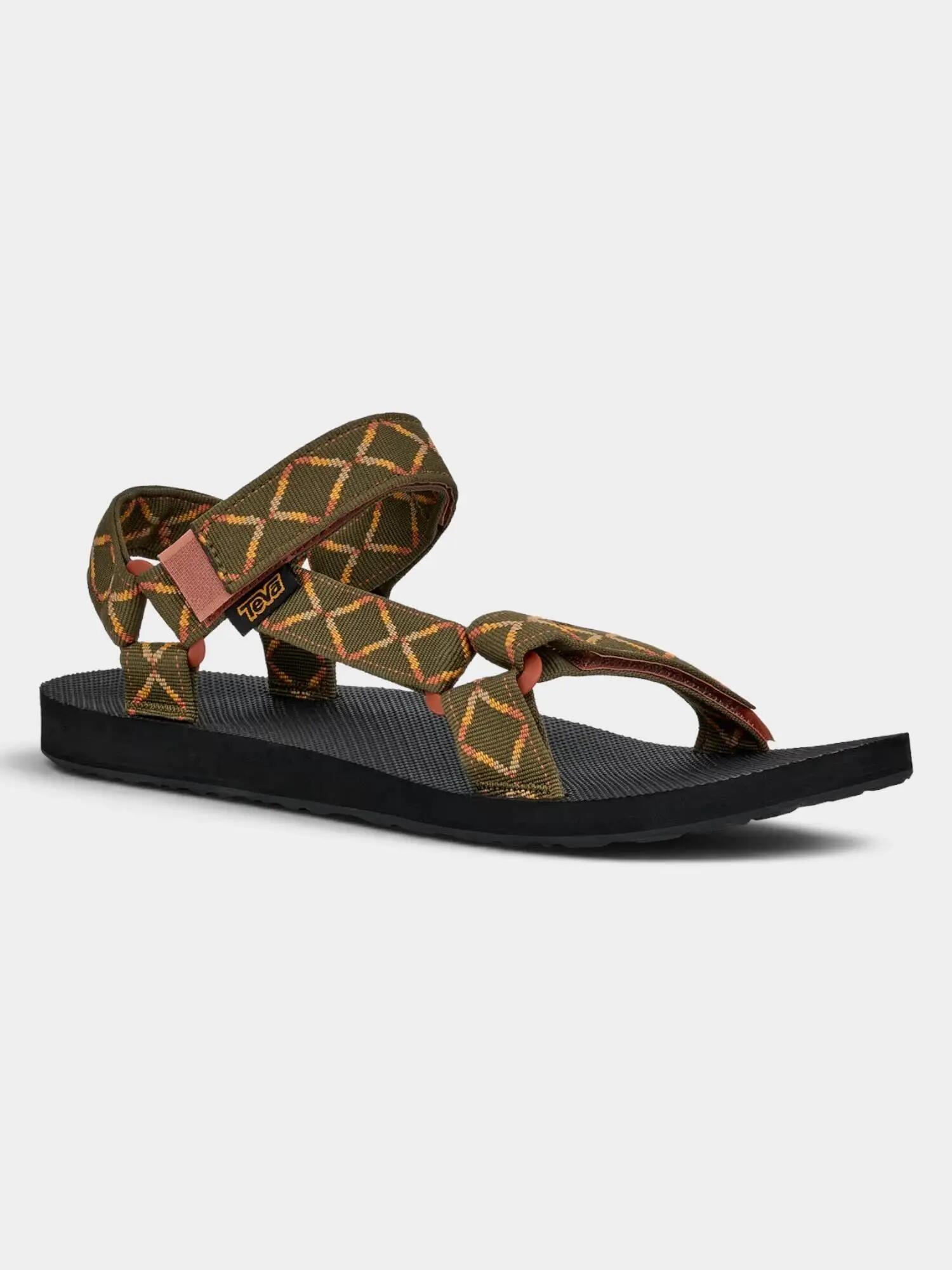TEVA picture