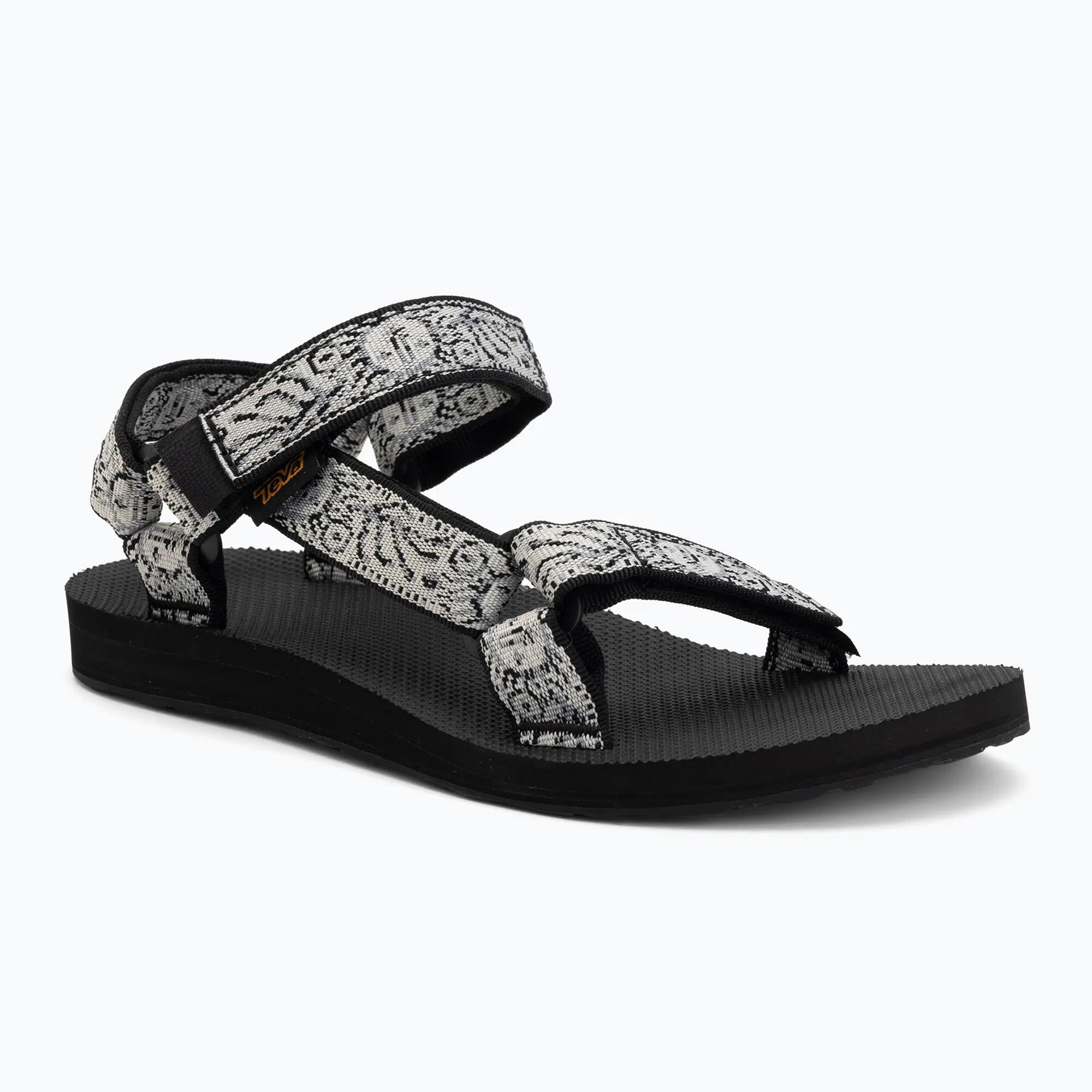 TEVA picture