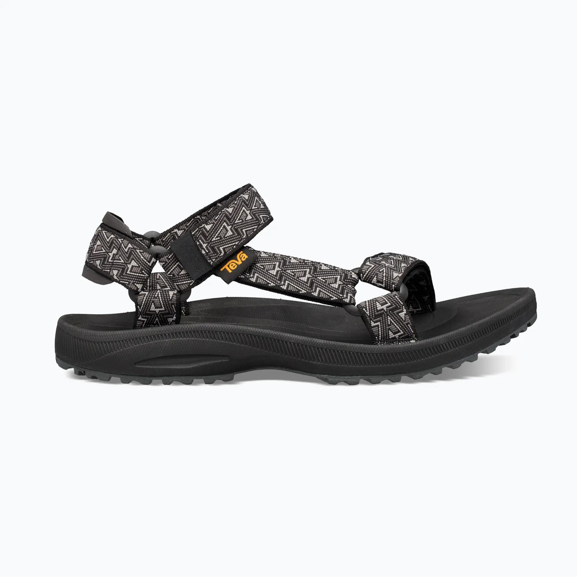 TEVA picture
