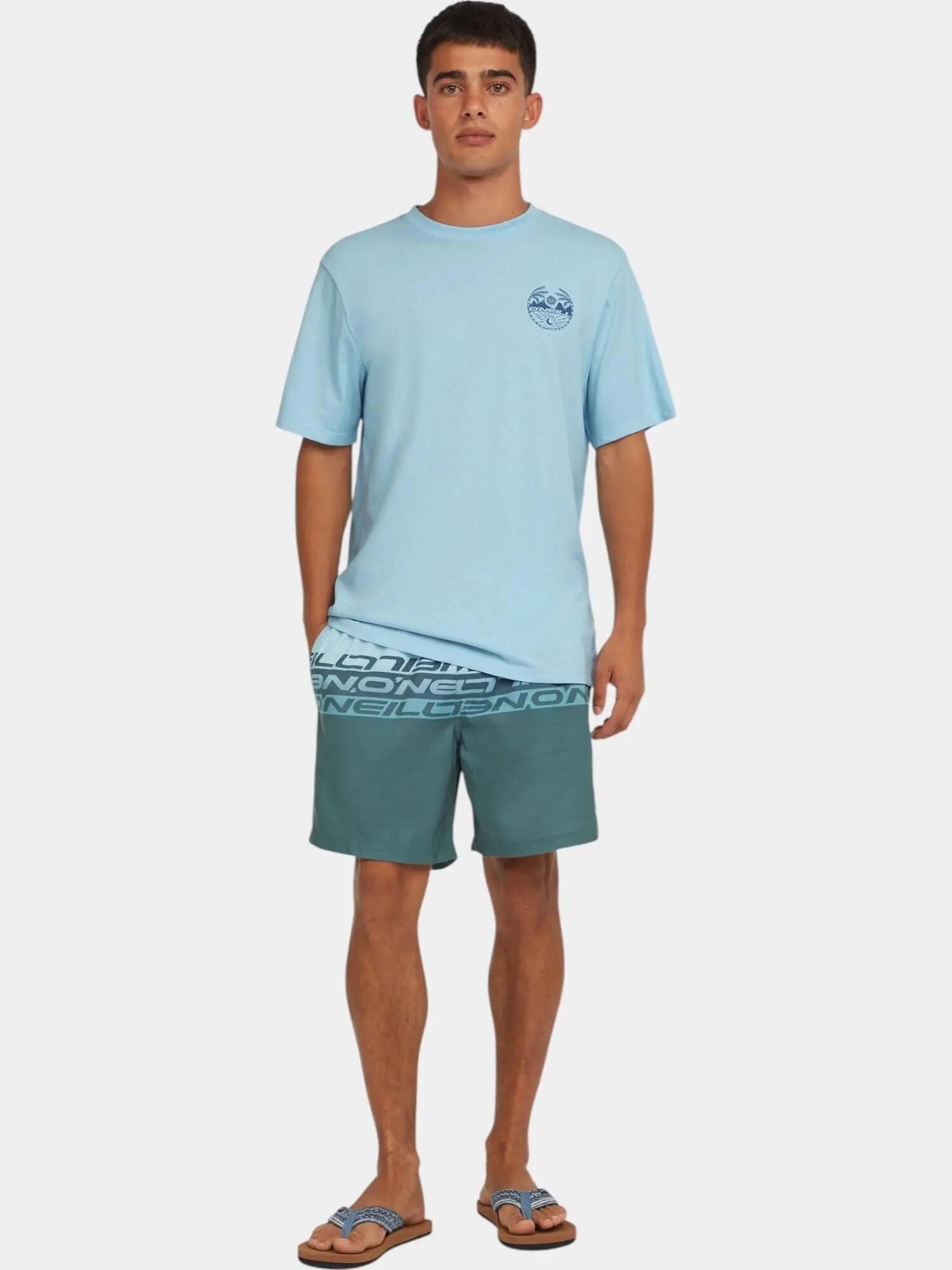 Férfi beach short O'Neill Cali Stripe 16'' Swimshorts 4/7