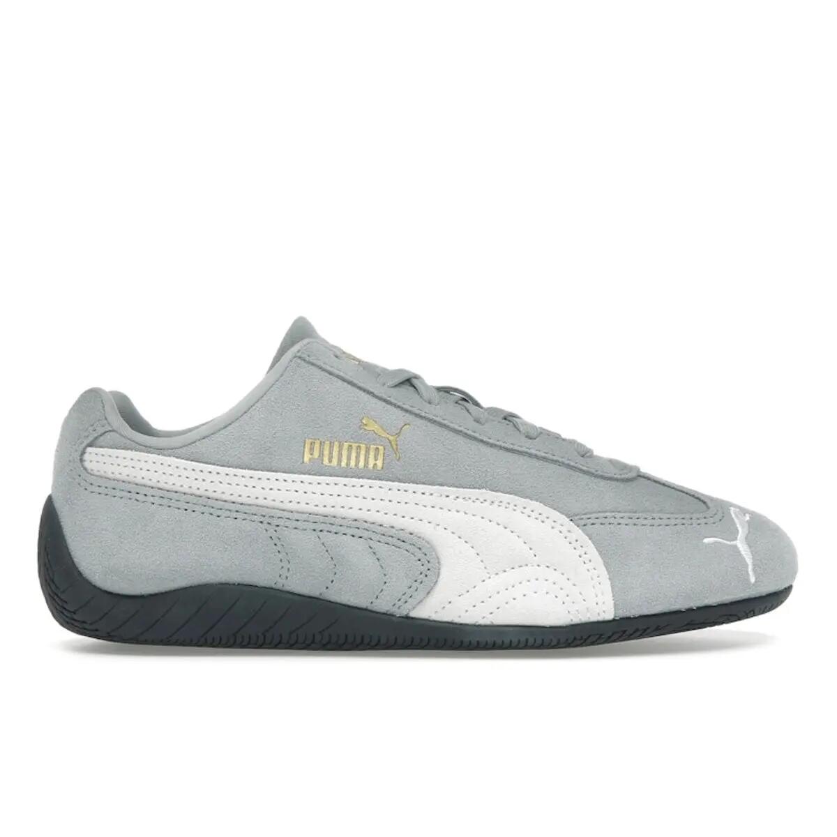 PUMA picture