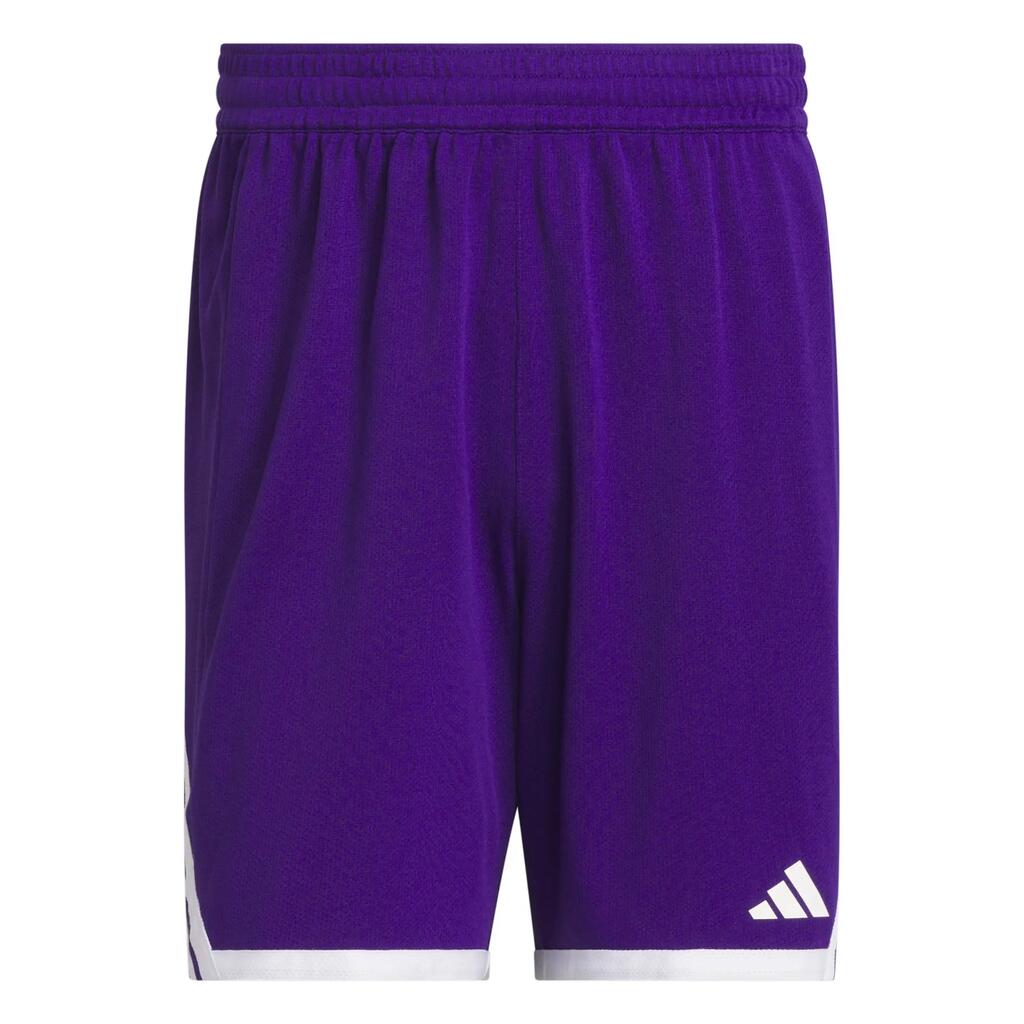 PURPLE / WHITE