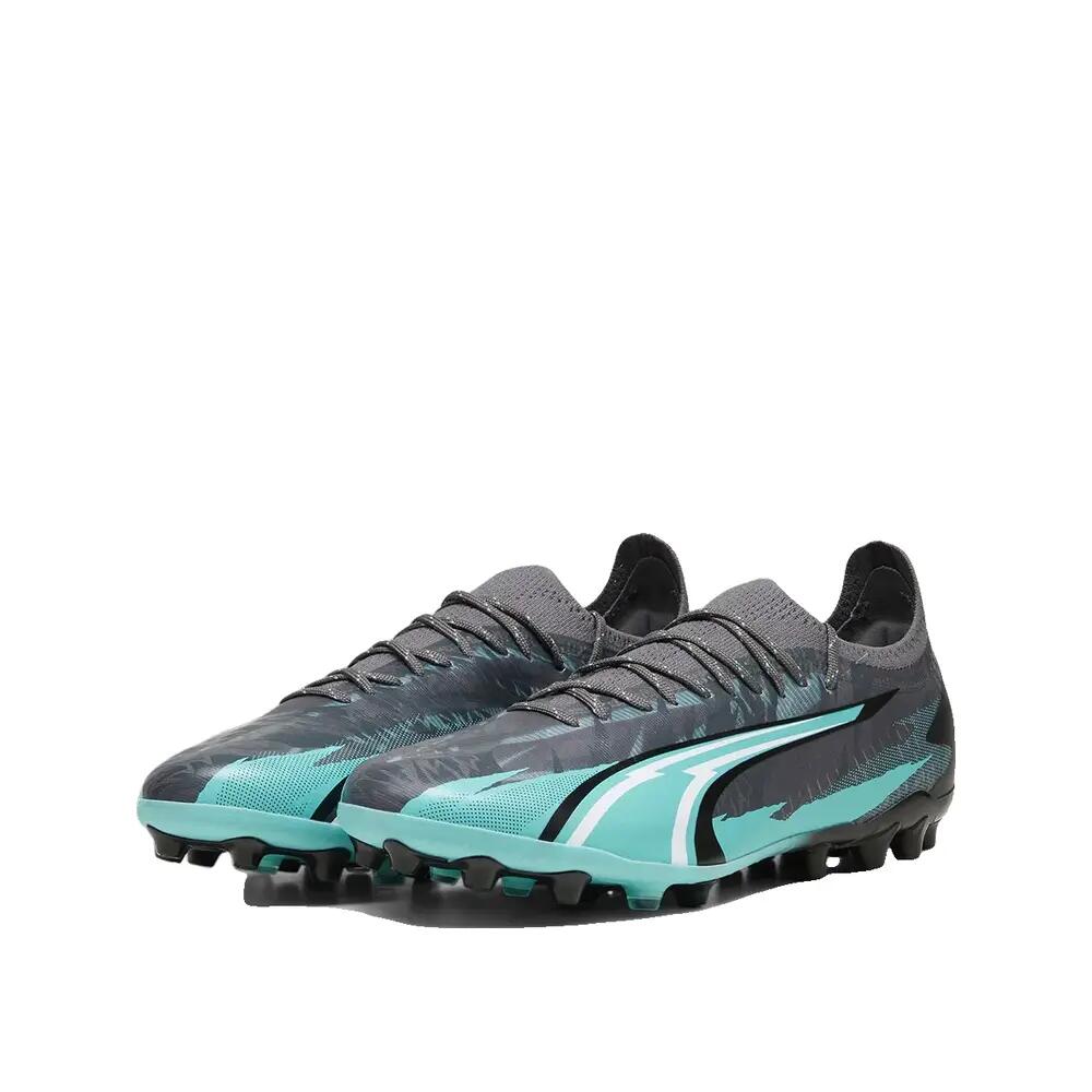 PUMA picture