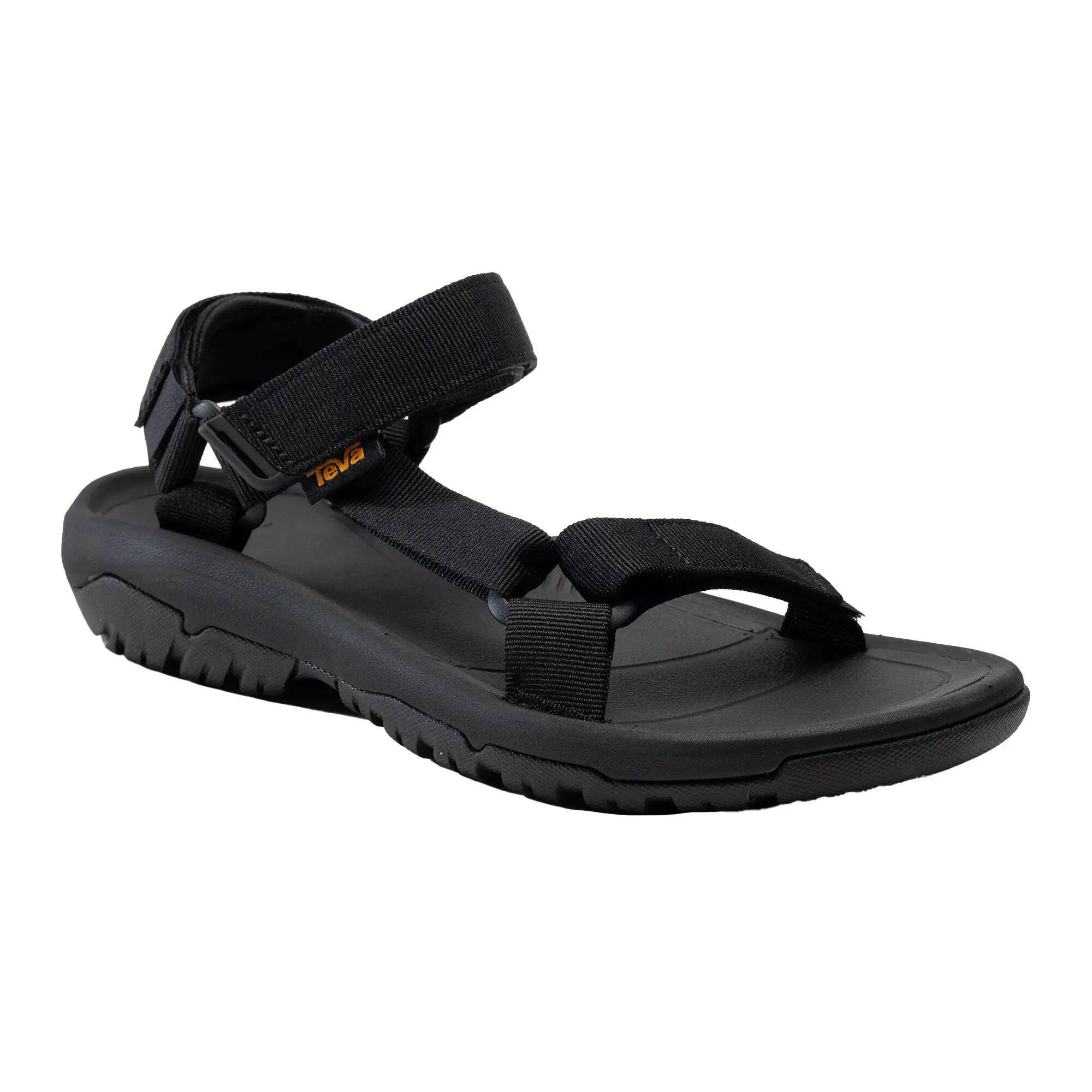 TEVA picture