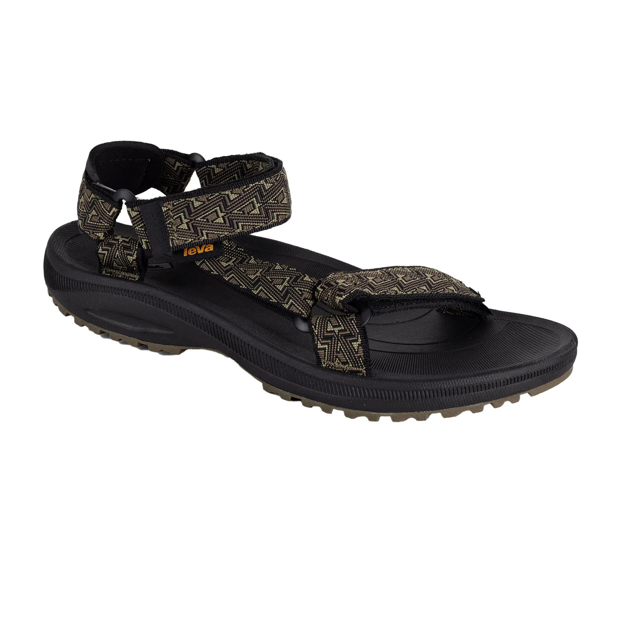 TEVA picture