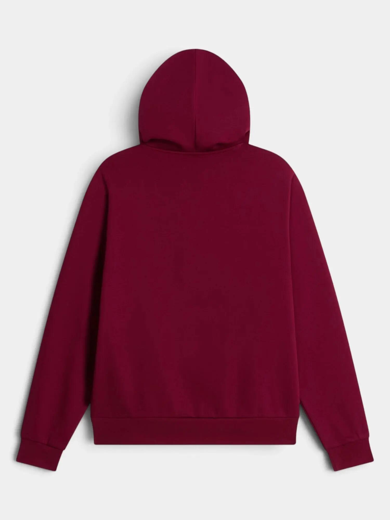 Hoodie Femme W Evolution Simple Dome Regular 2/3