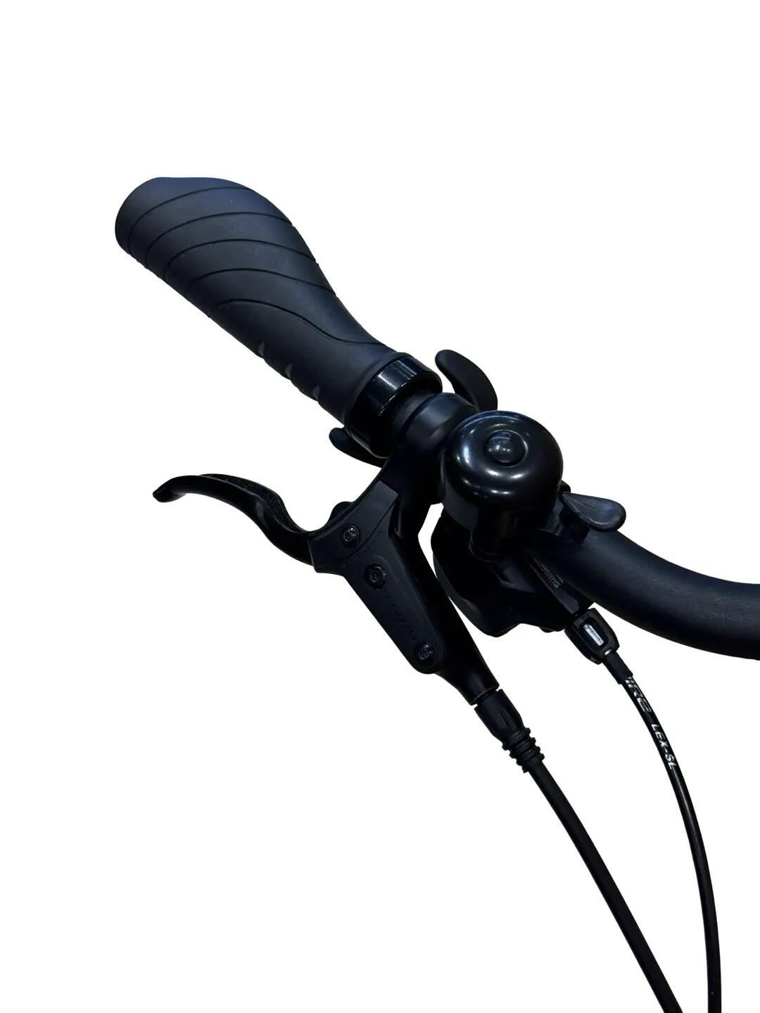Refurbished - E-Bike Giant DailyTour E+ 2 LDS Shimano - Zeer goed 5/15