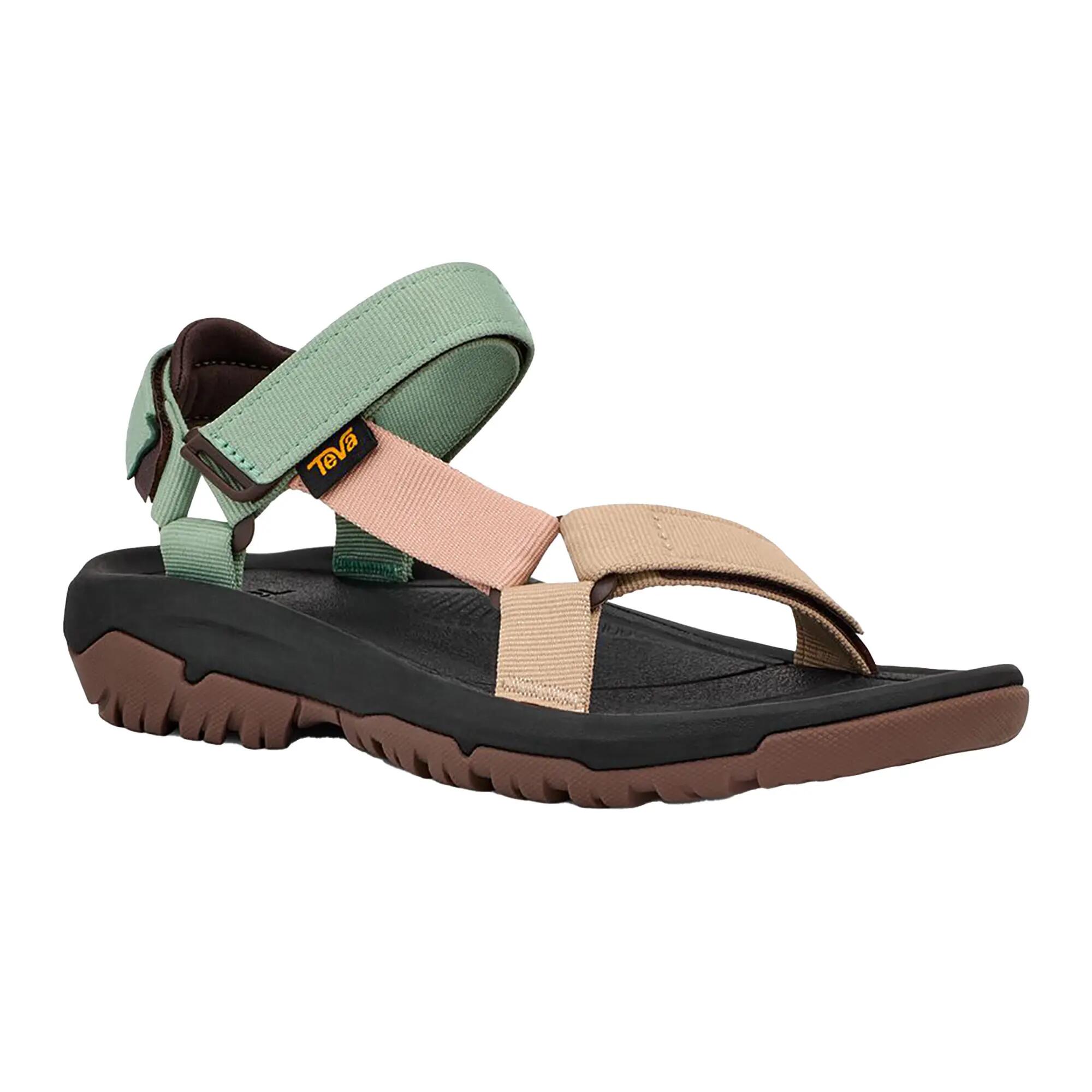 TEVA picture