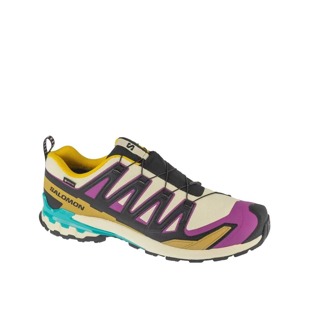 SALOMON picture