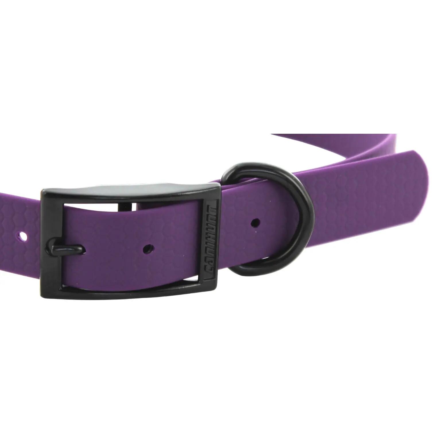 COLLIER CHIEN CANIHUNT MADE IN FRANCE HEXA 25mm VIOLET 2/5
