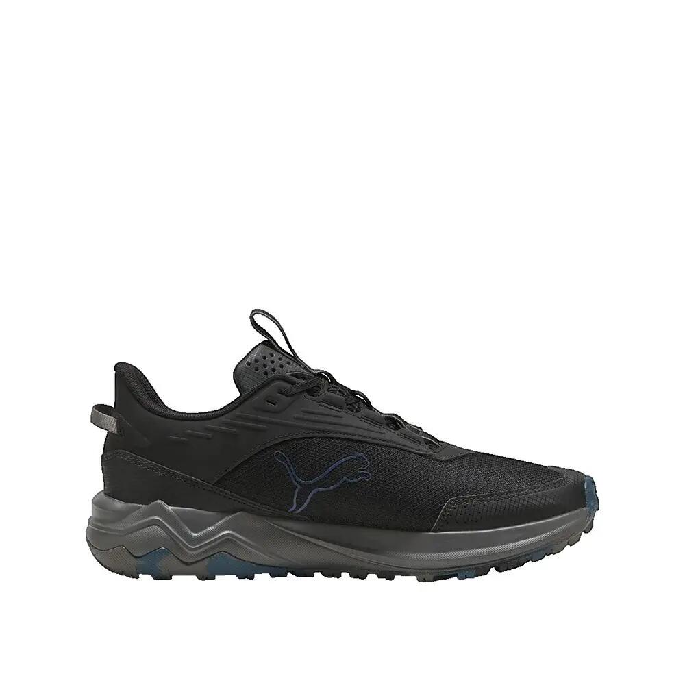 PUMA picture