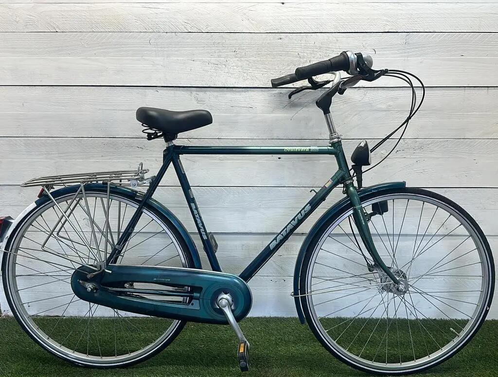 BATAVUS picture