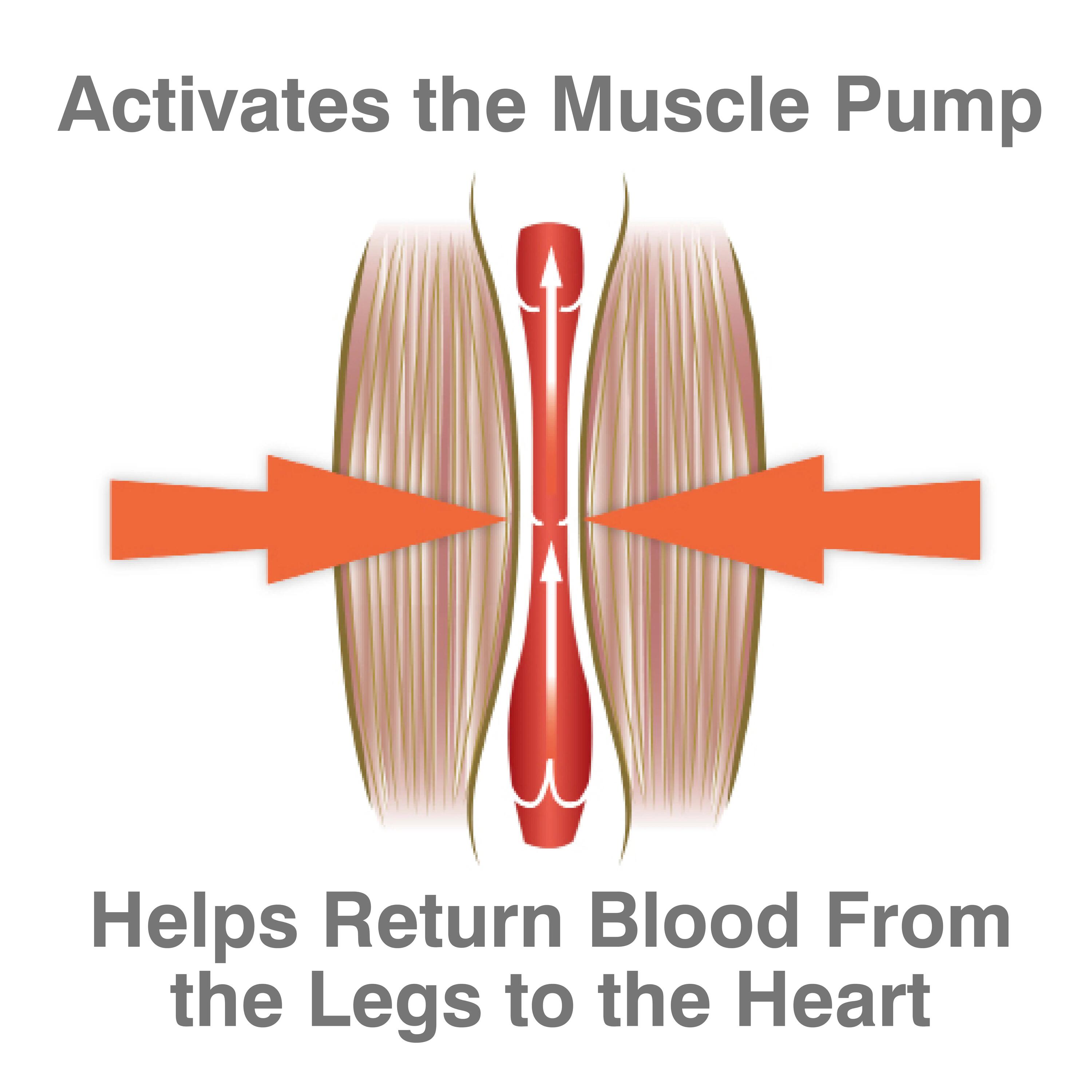 Circulation Plus Active Lower Leg Exerciser & Foot Massager 6/12