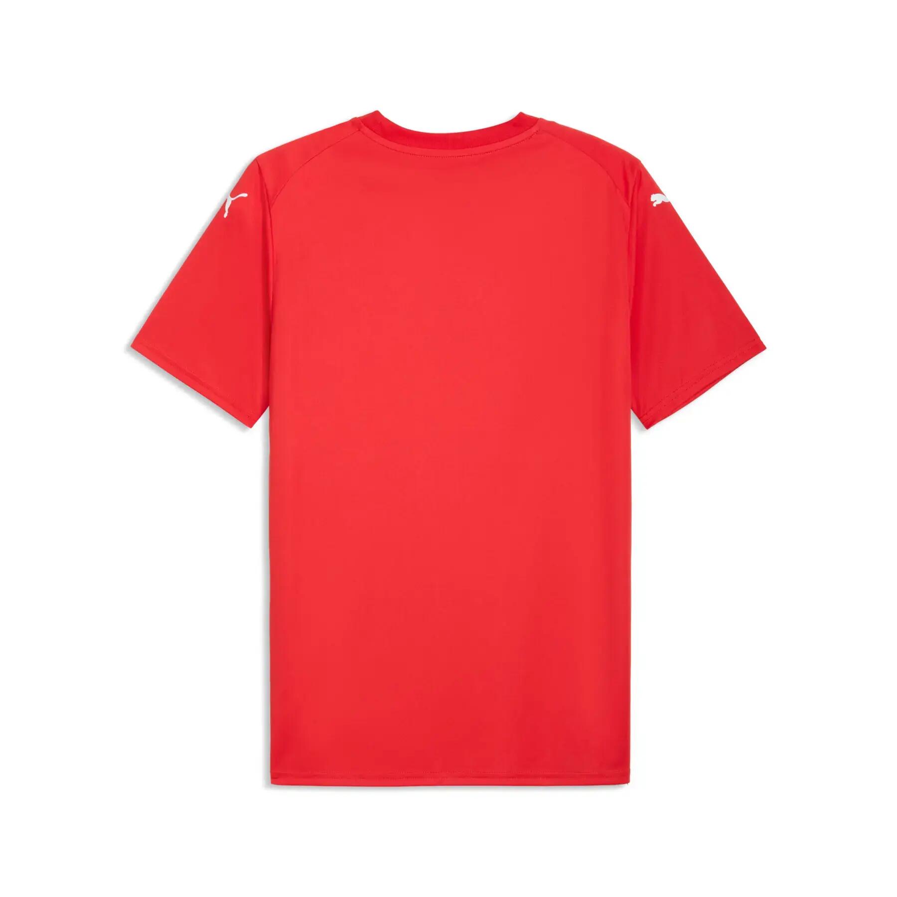 Maglia Puma teamFINAL Graphic 2/2