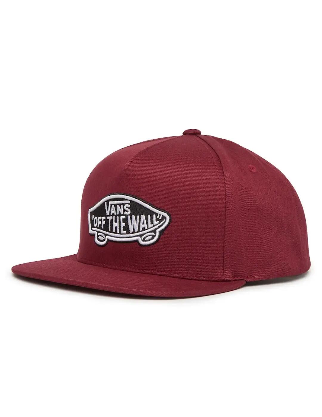 VANS picture