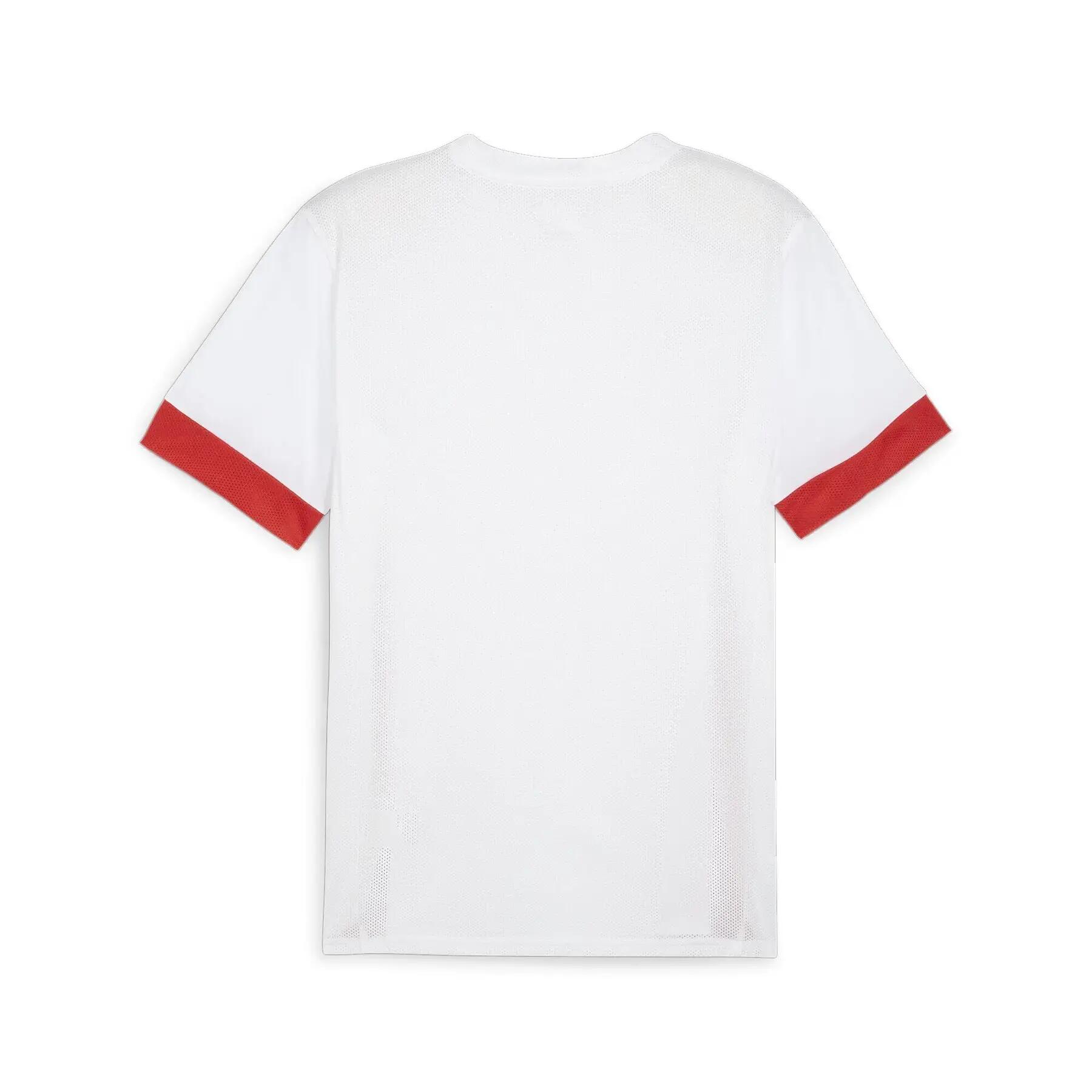 Camisola Puma TeamGoal 2/3