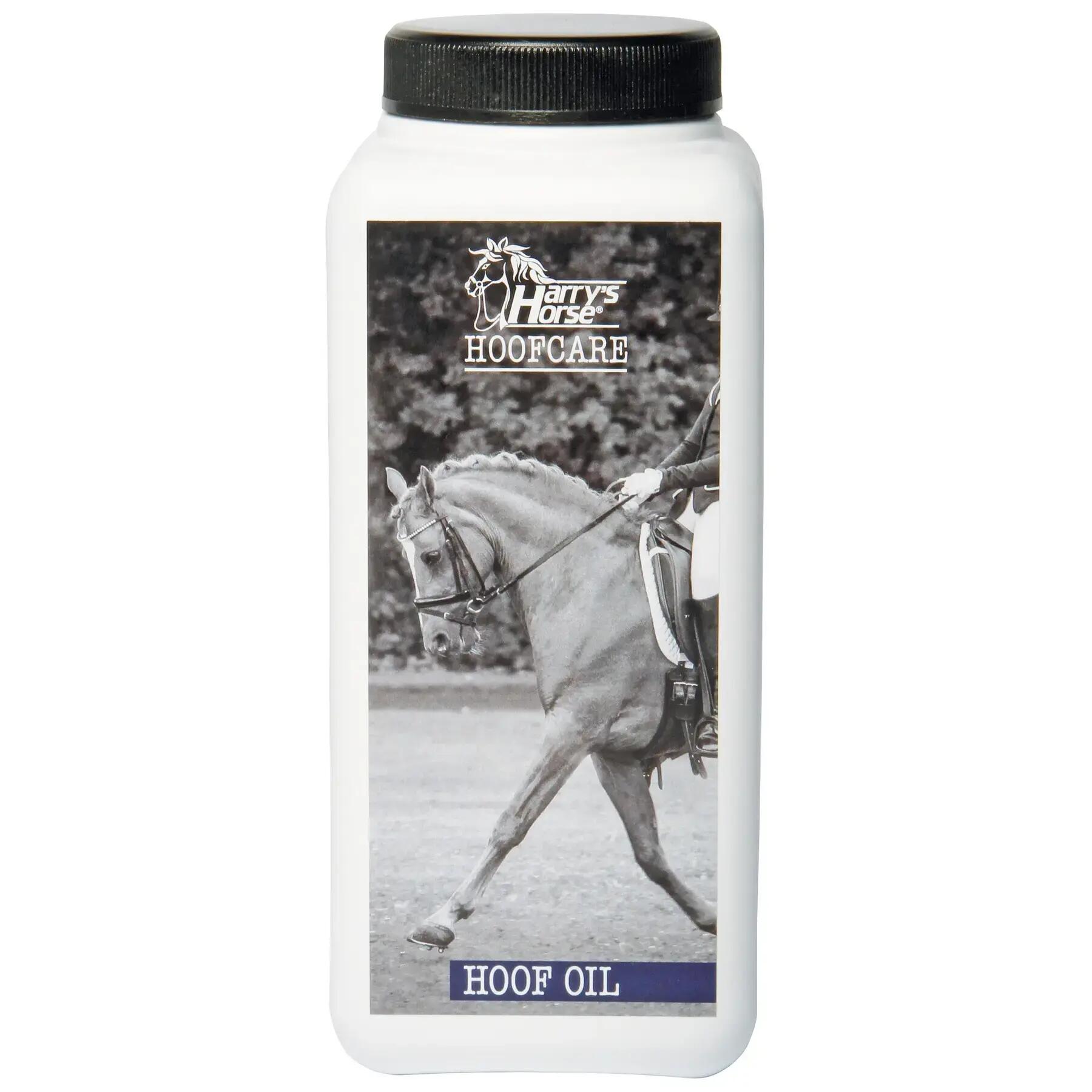HARRYS HORSE picture