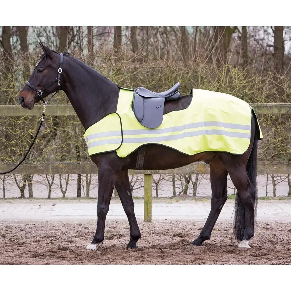 HARRYS HORSE picture