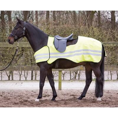 Reflecterende paardendeken harry's horse