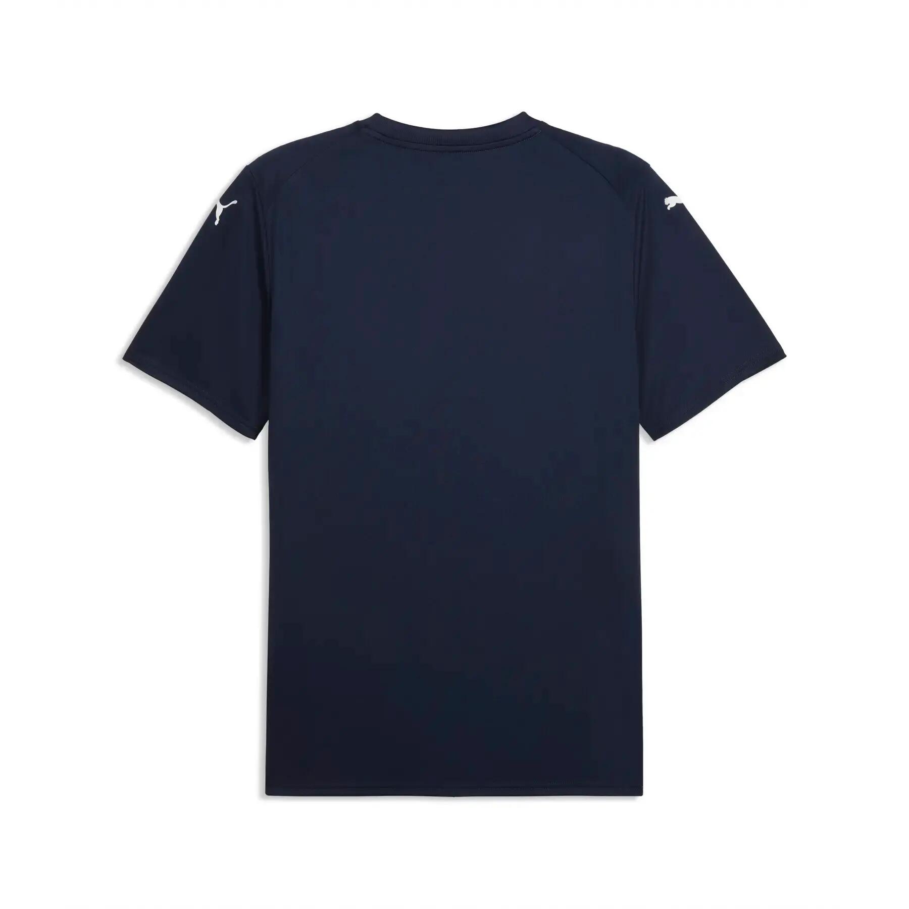 Trikot Puma Team Final Graphic 2/2