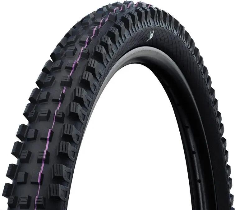 SCHWALBE picture