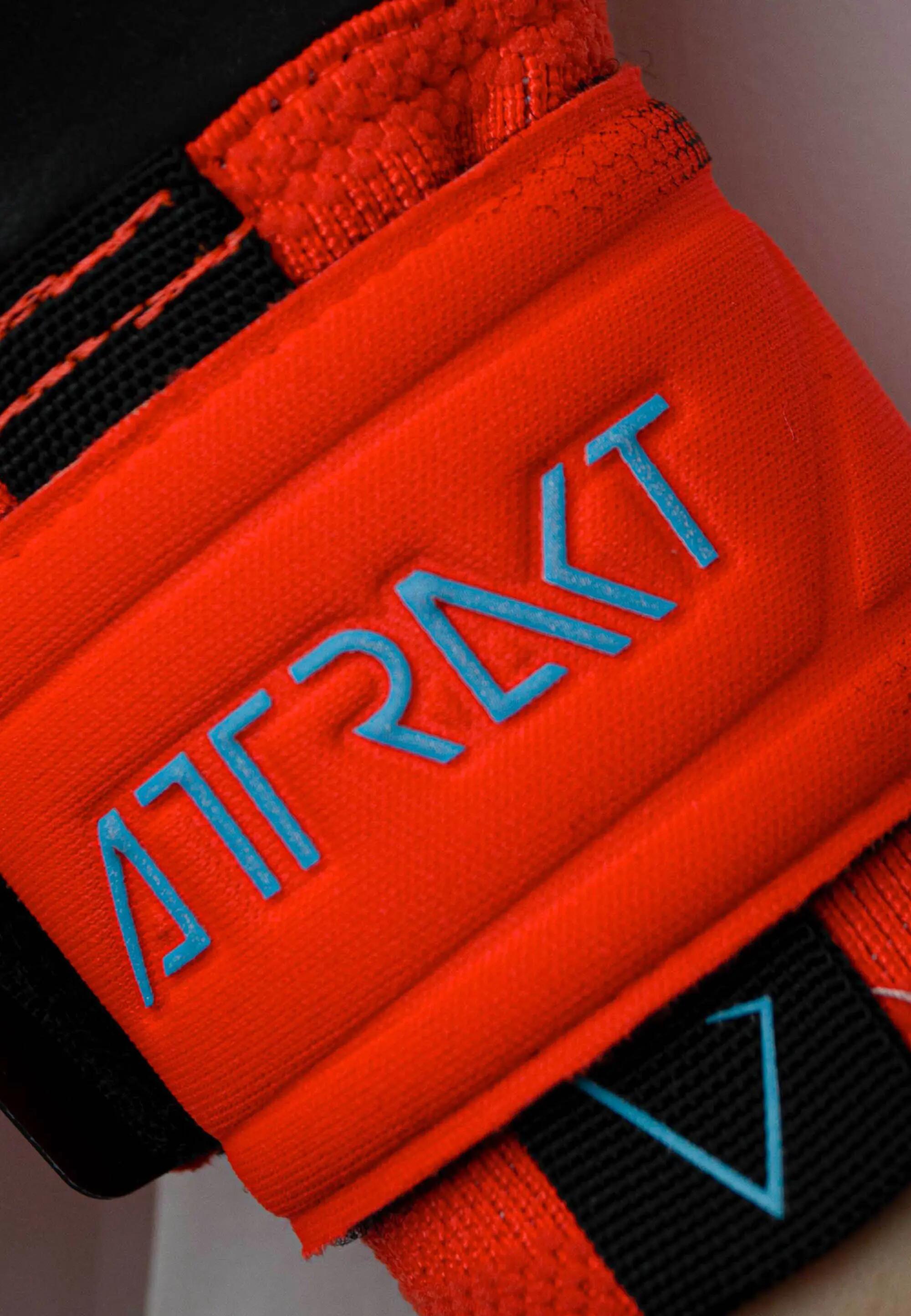 Gants de gardien de but Reusch Attrakt Gold X Evolution Cut 8/8