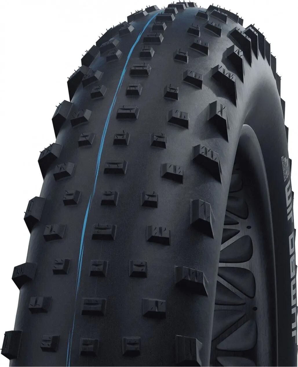 SCHWALBE picture