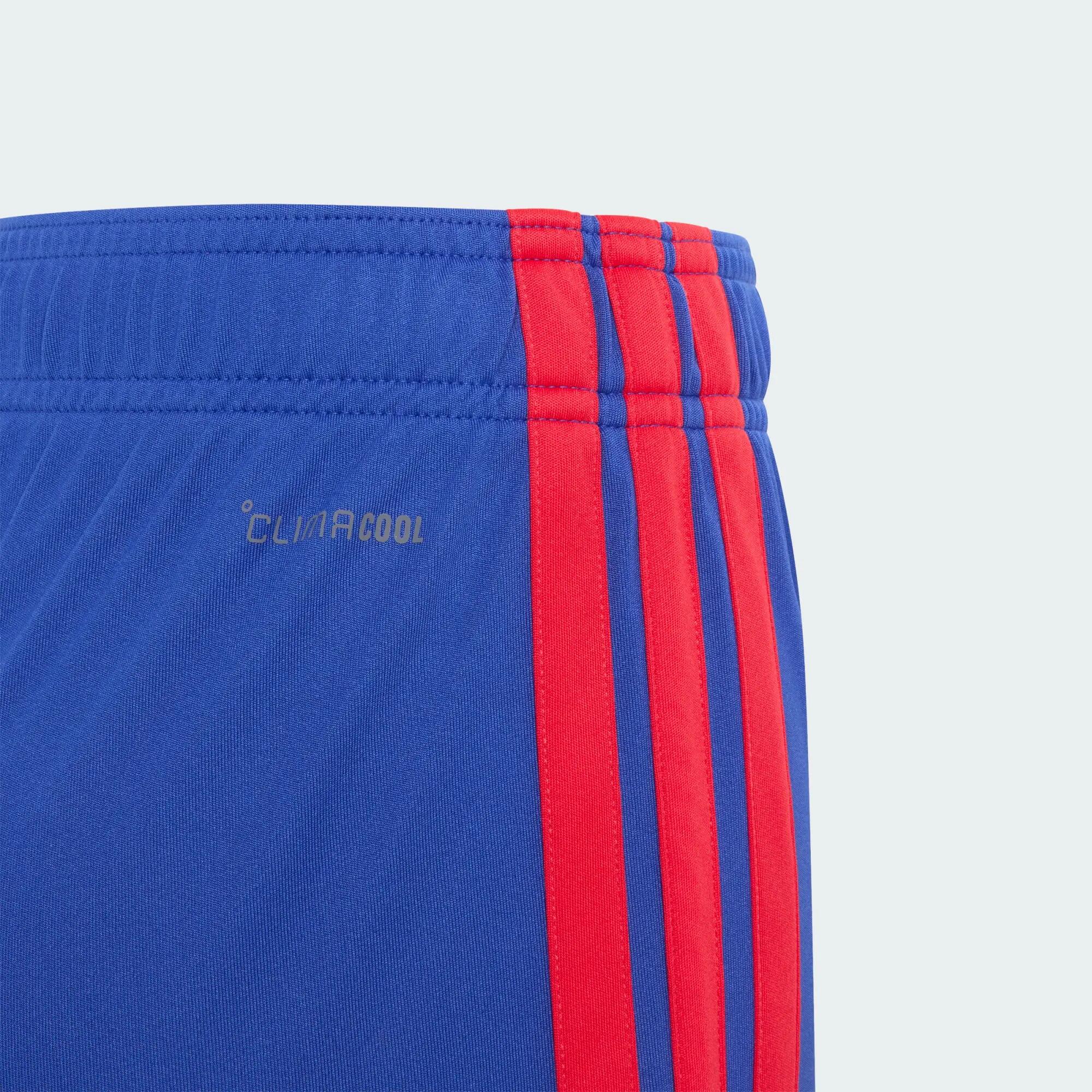 PANTALÓN CORTO PRIMERA EQUIPACIÓN OLYMPIQUE DE LYON 26/27 5/5