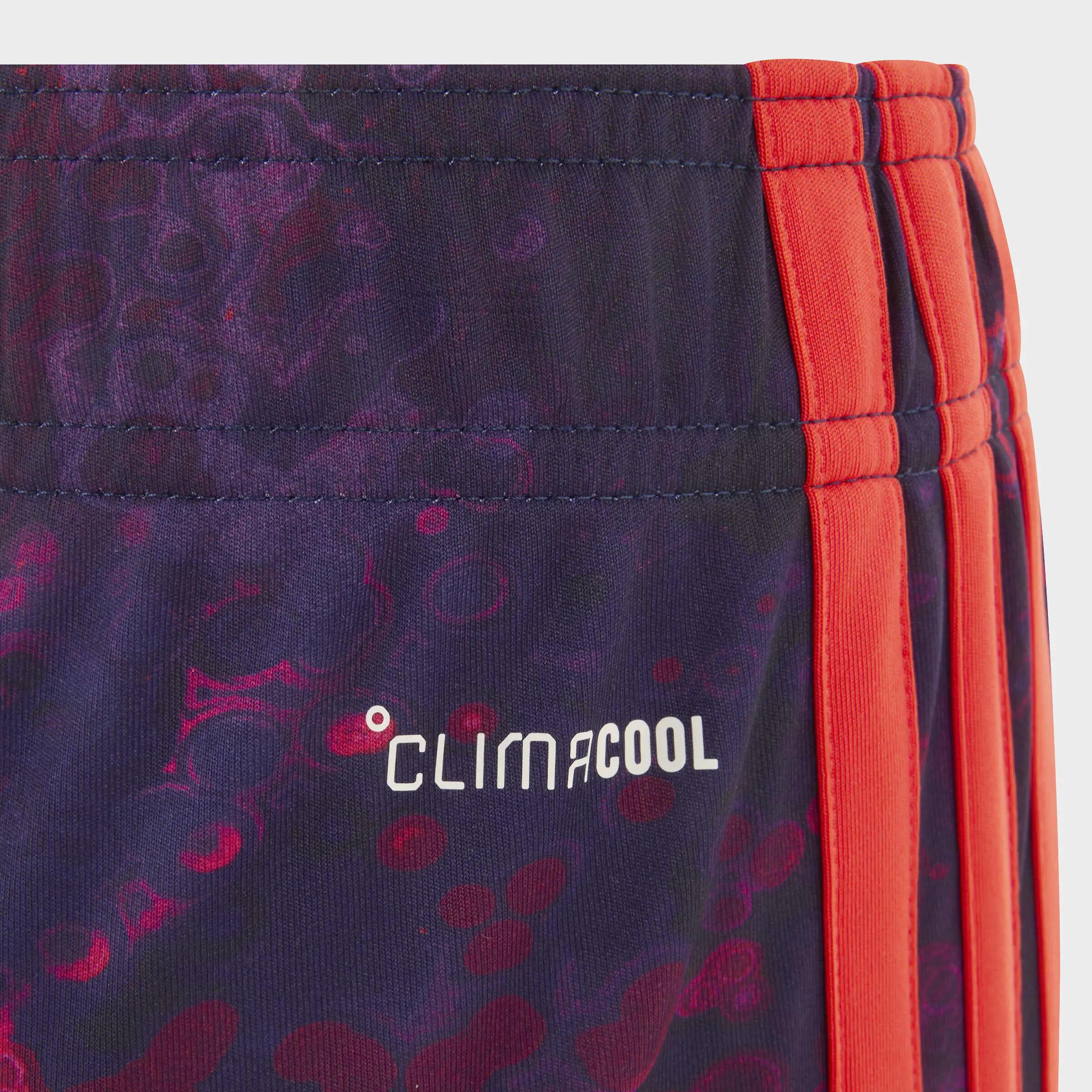 Pantalón corto tercera equipación FC Bayern 26/27 6/9