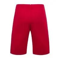 Pantaloncini Le coq sportif modello 2020523 per uomini 2/2