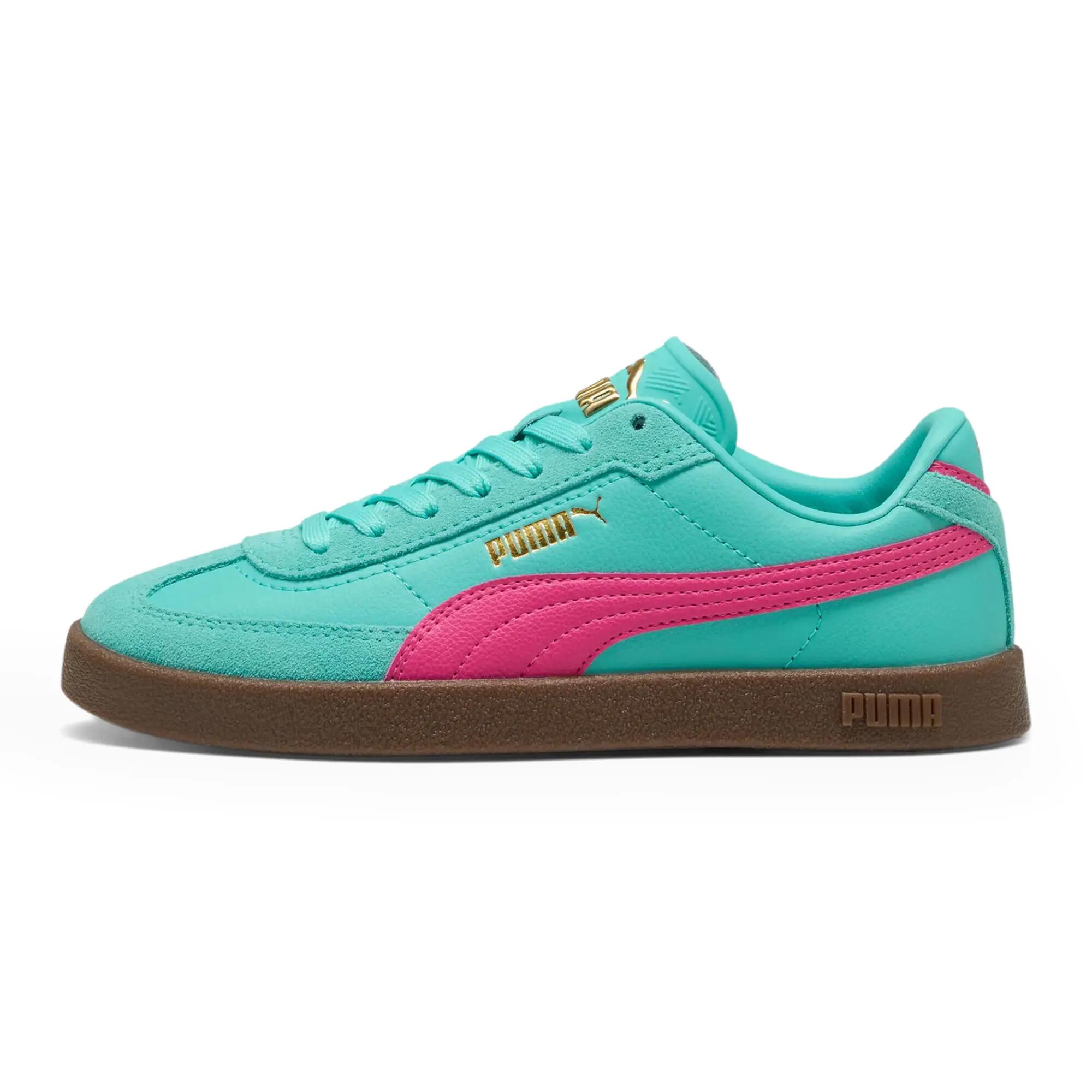 PUMA picture