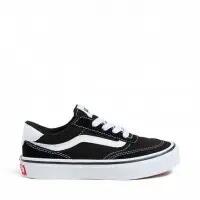 VANS picture