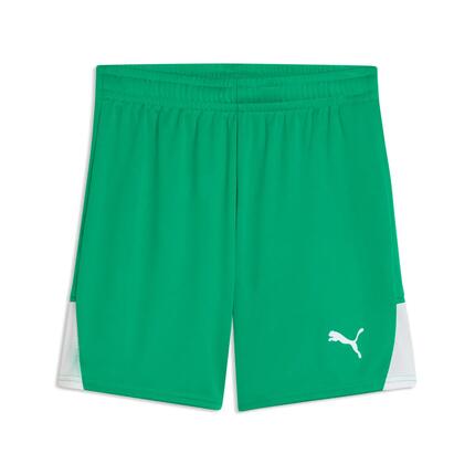 Szorty dla dzieci Puma Liga 26