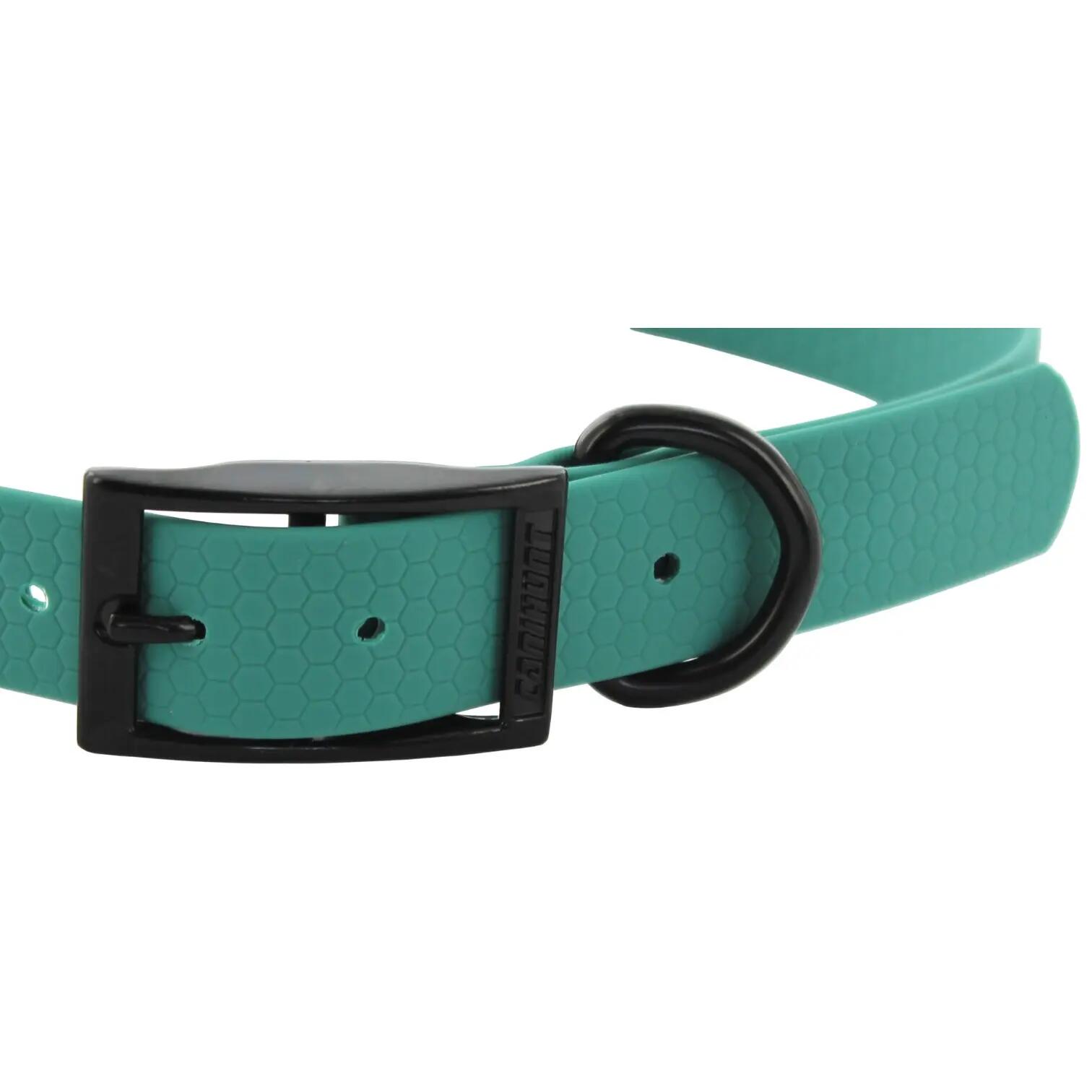 COLLIER CHIEN CANIHUNT MADE IN FRANCE HEXA 25mm VERT PASTEL 2/5