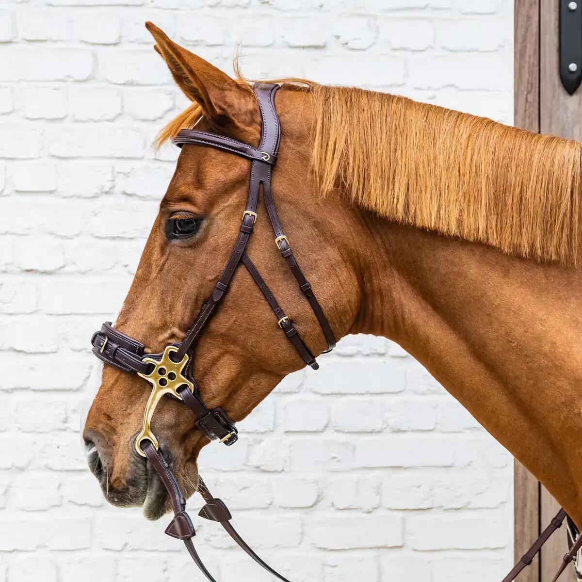 Hackamore per cavallo Dy'on Collection 2/3