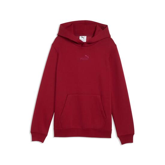 Sweatshirt à capuche enfant Puma Ess Small No.1 Logo