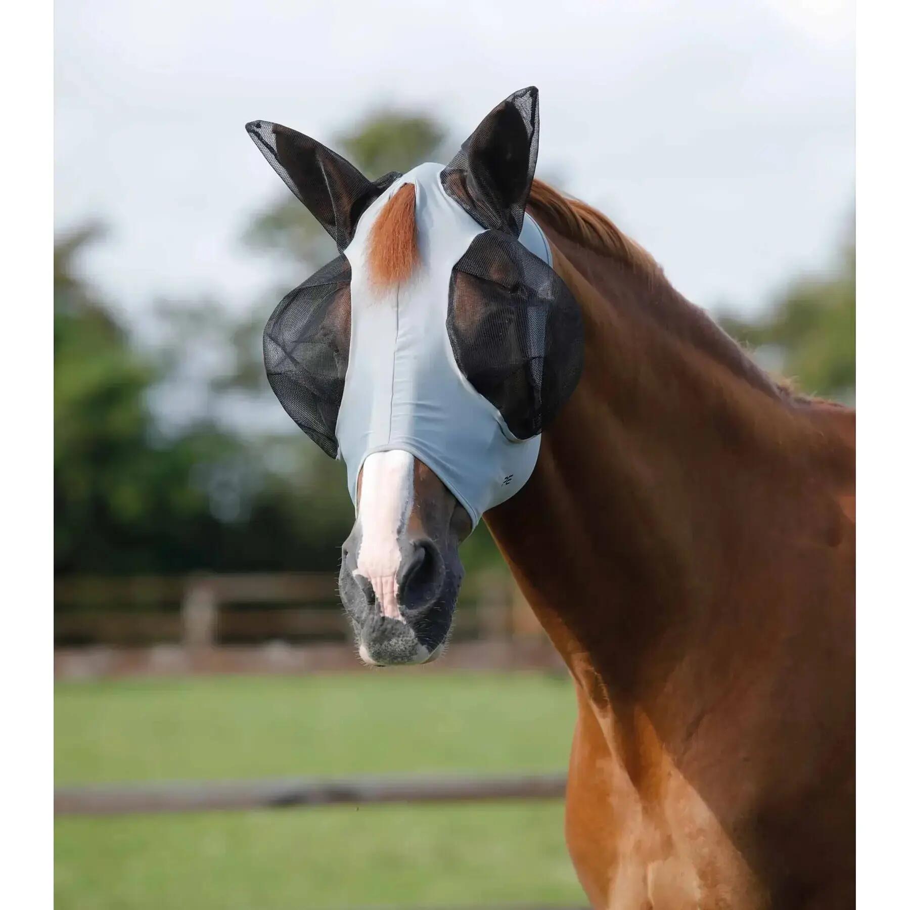 PREMIER EQUINE picture