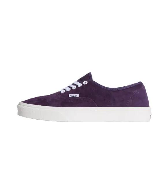 VANS picture