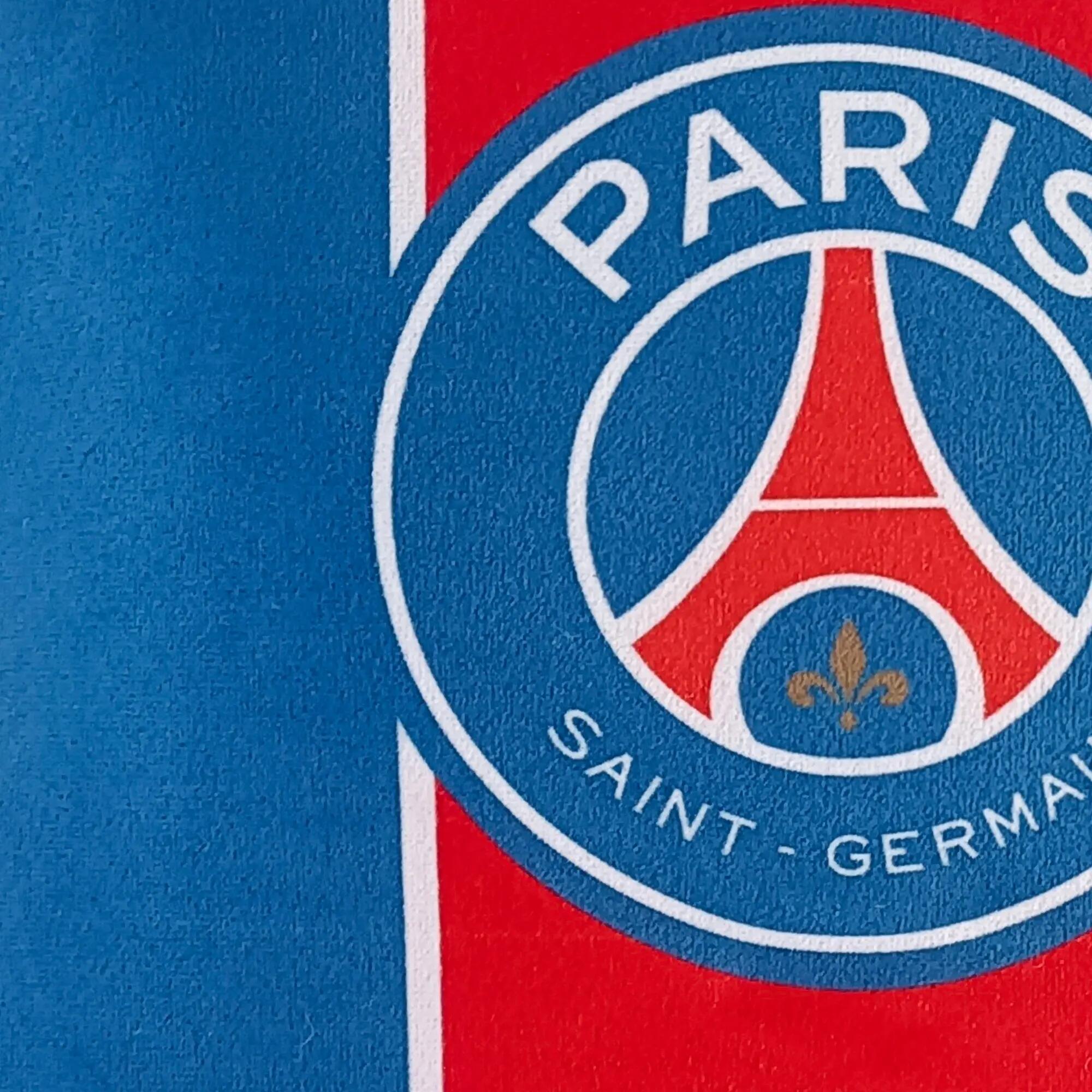 Coussin forme maillot brodé foot Paris Saint Germain - Icon 10 4/4