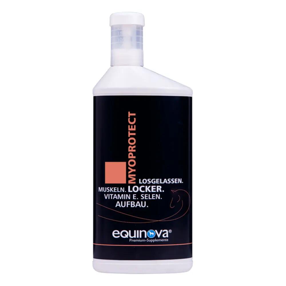 EQUINOVA picture