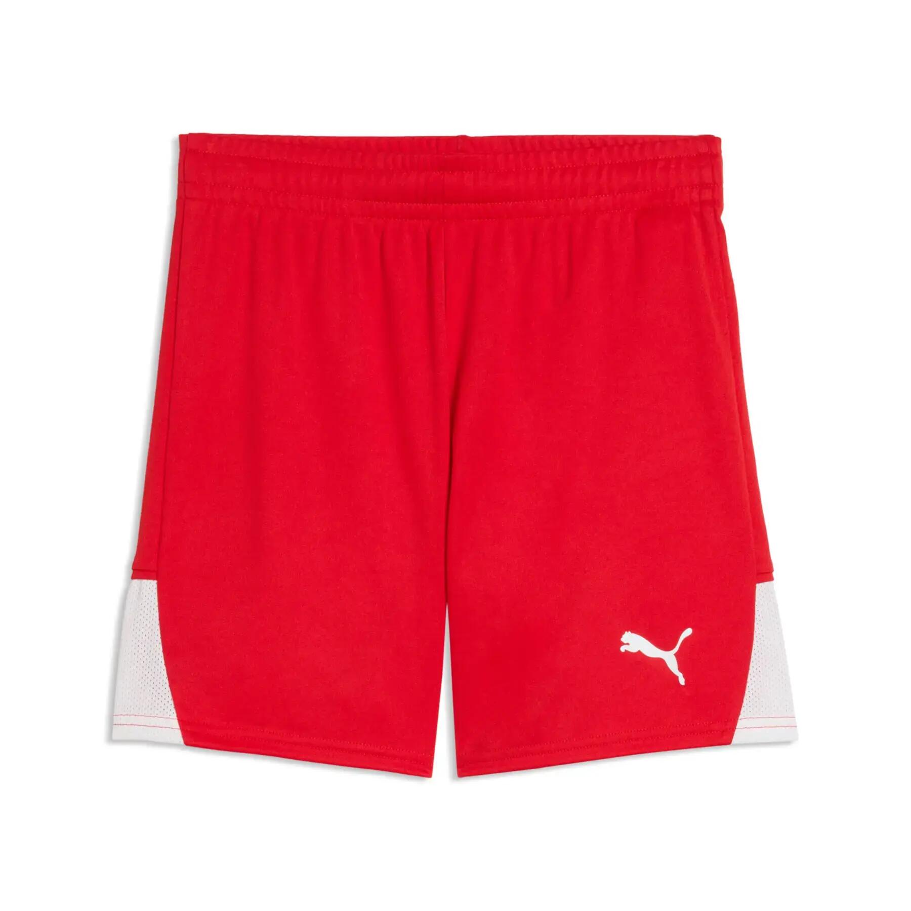 PUMA picture