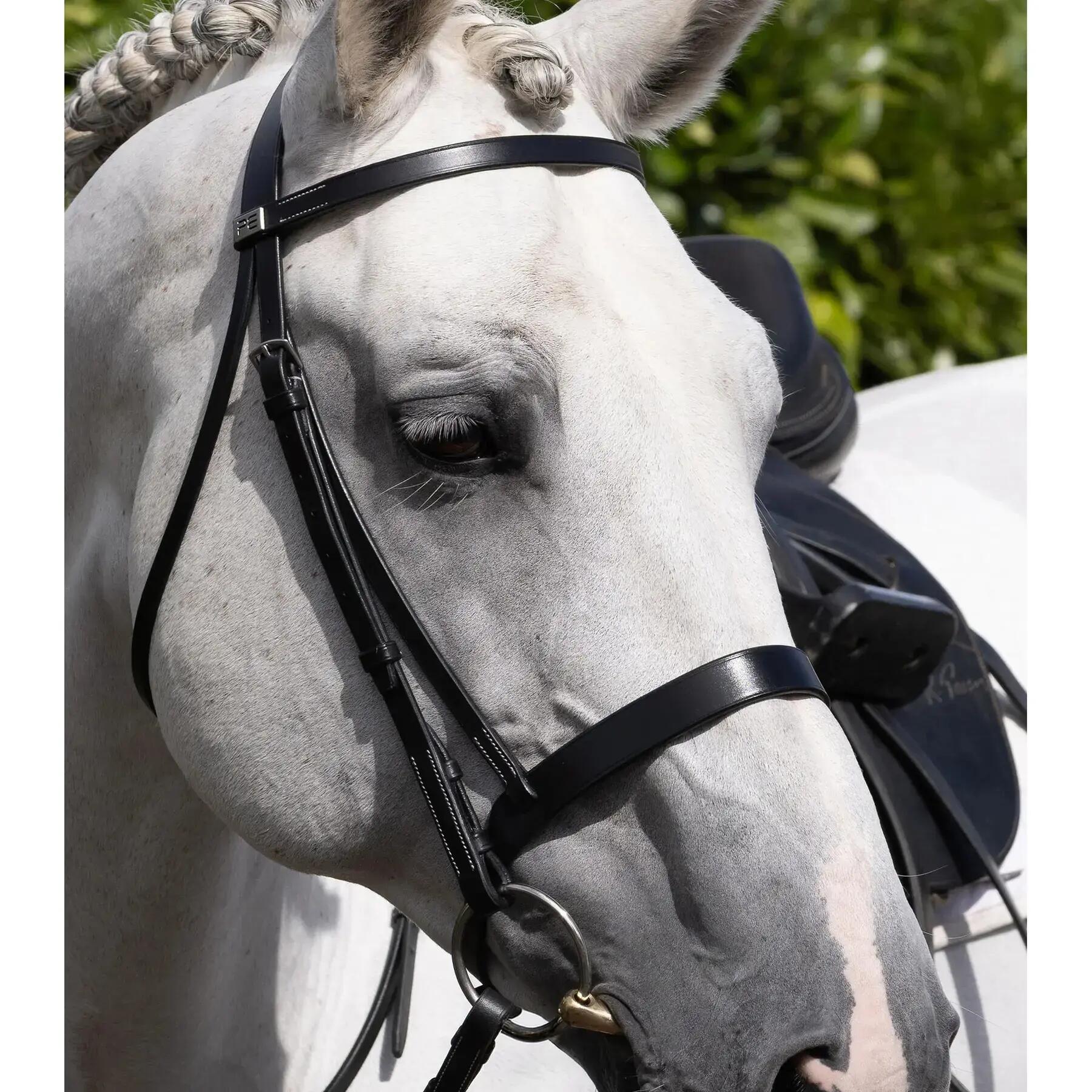 Muserolle cheval Premier Equine Hunter Cavesson 4/4