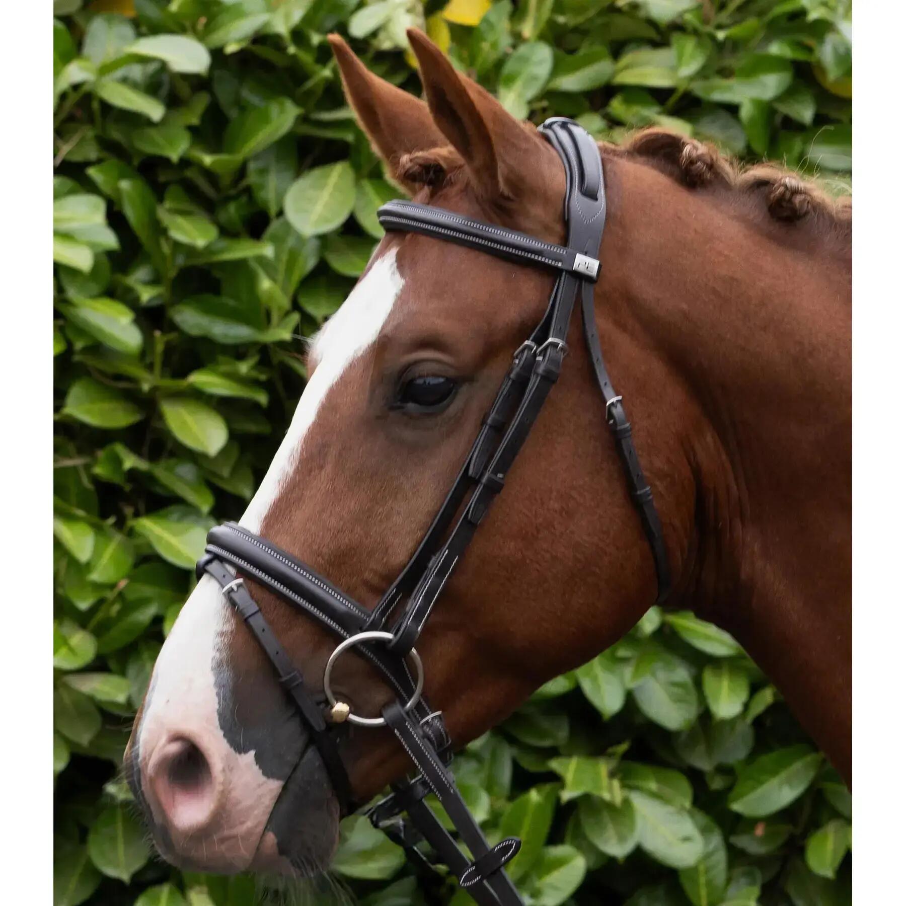 Muserolle cheval Premier Equine Pro Elevator 6/6
