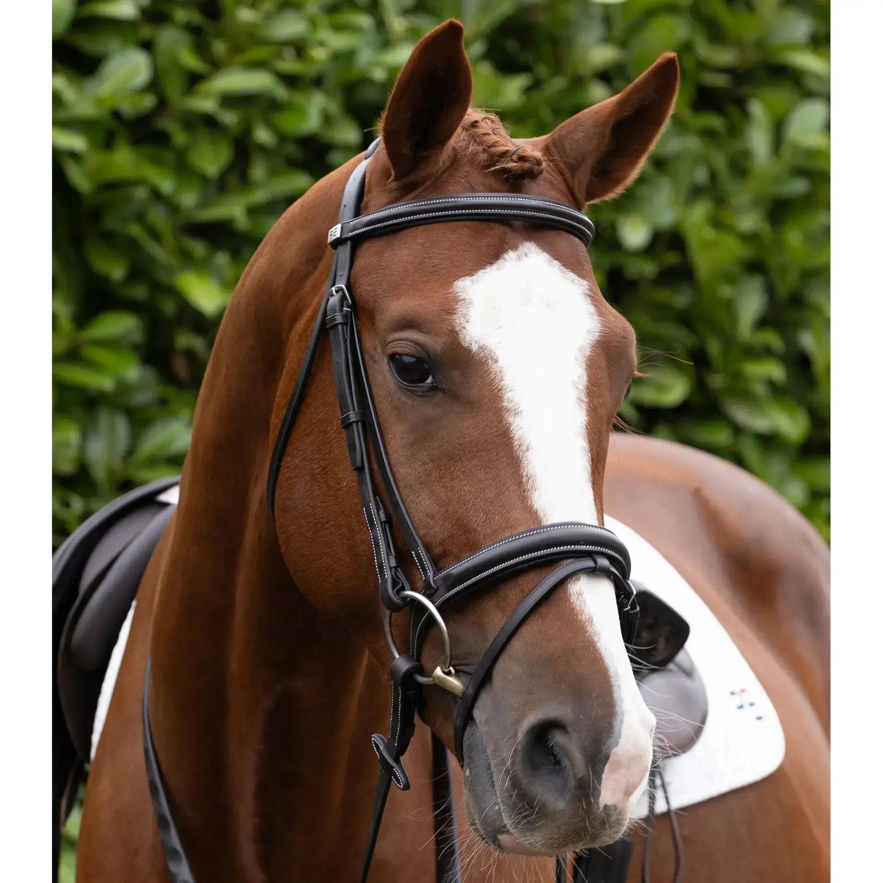 Muserolle cheval Premier Equine Pro Elevator 5/6