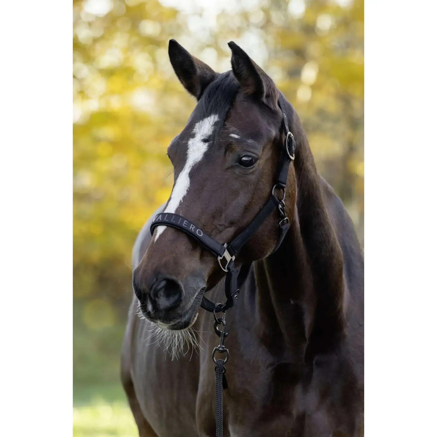 Vacht halster Covalliero 2/4