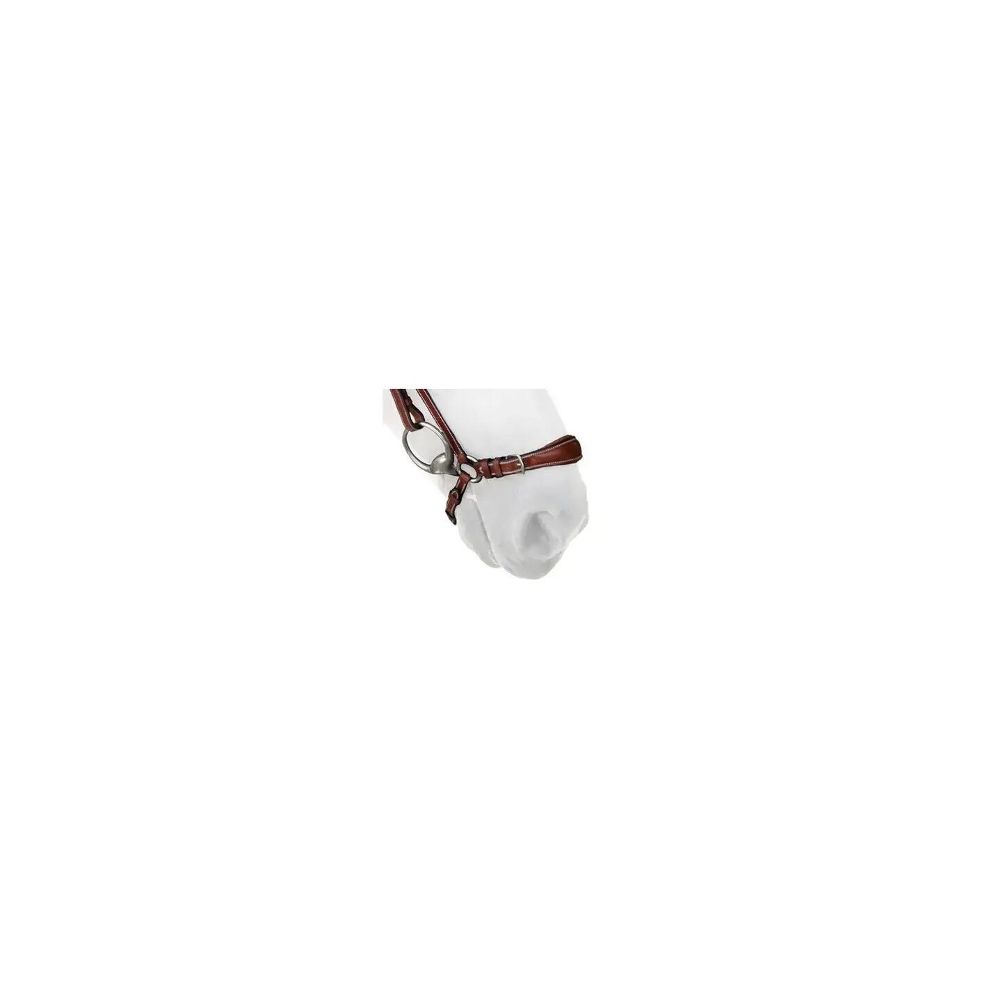 SILVER CROWN picture