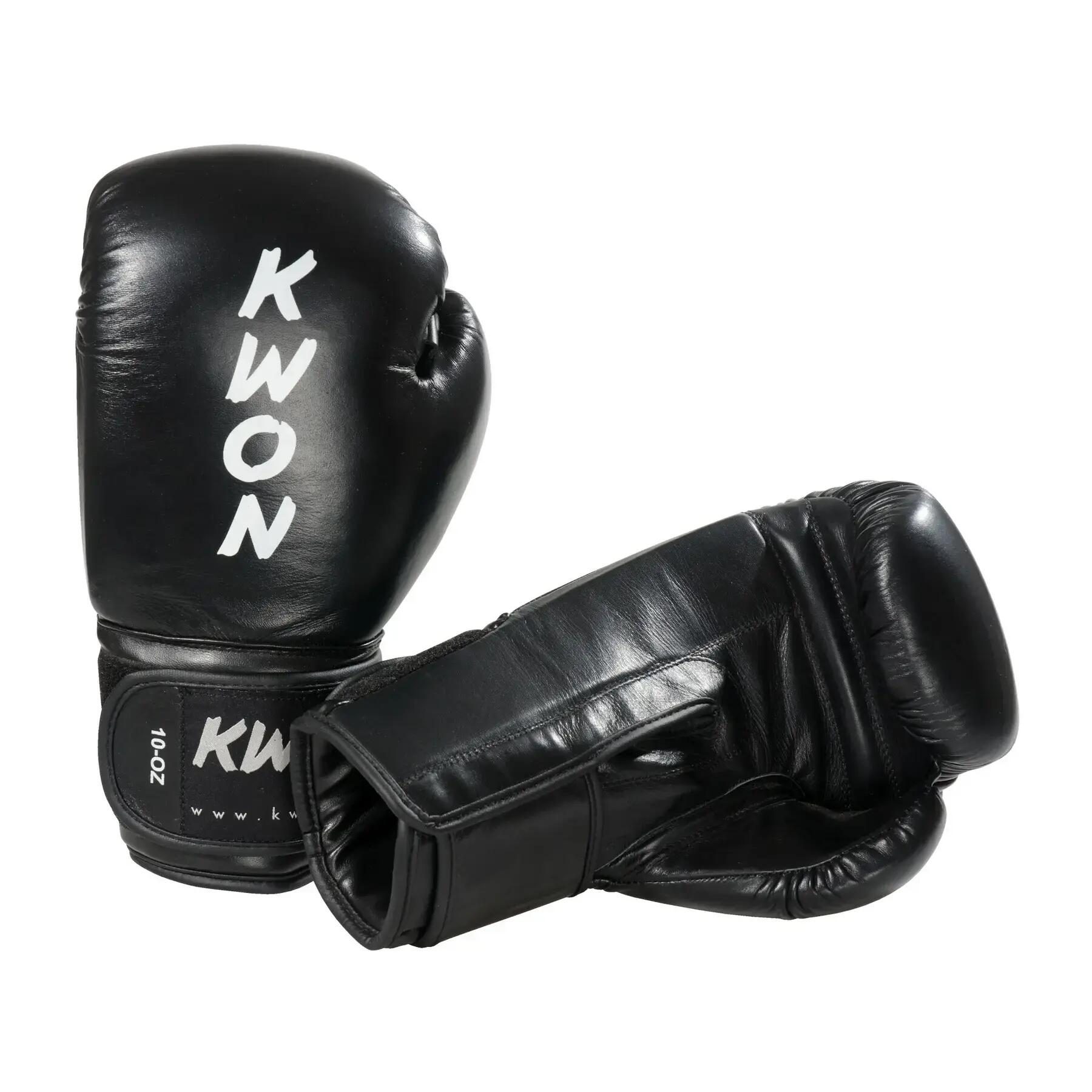 Gants de boxe Kwon Ergo Champ 2/3