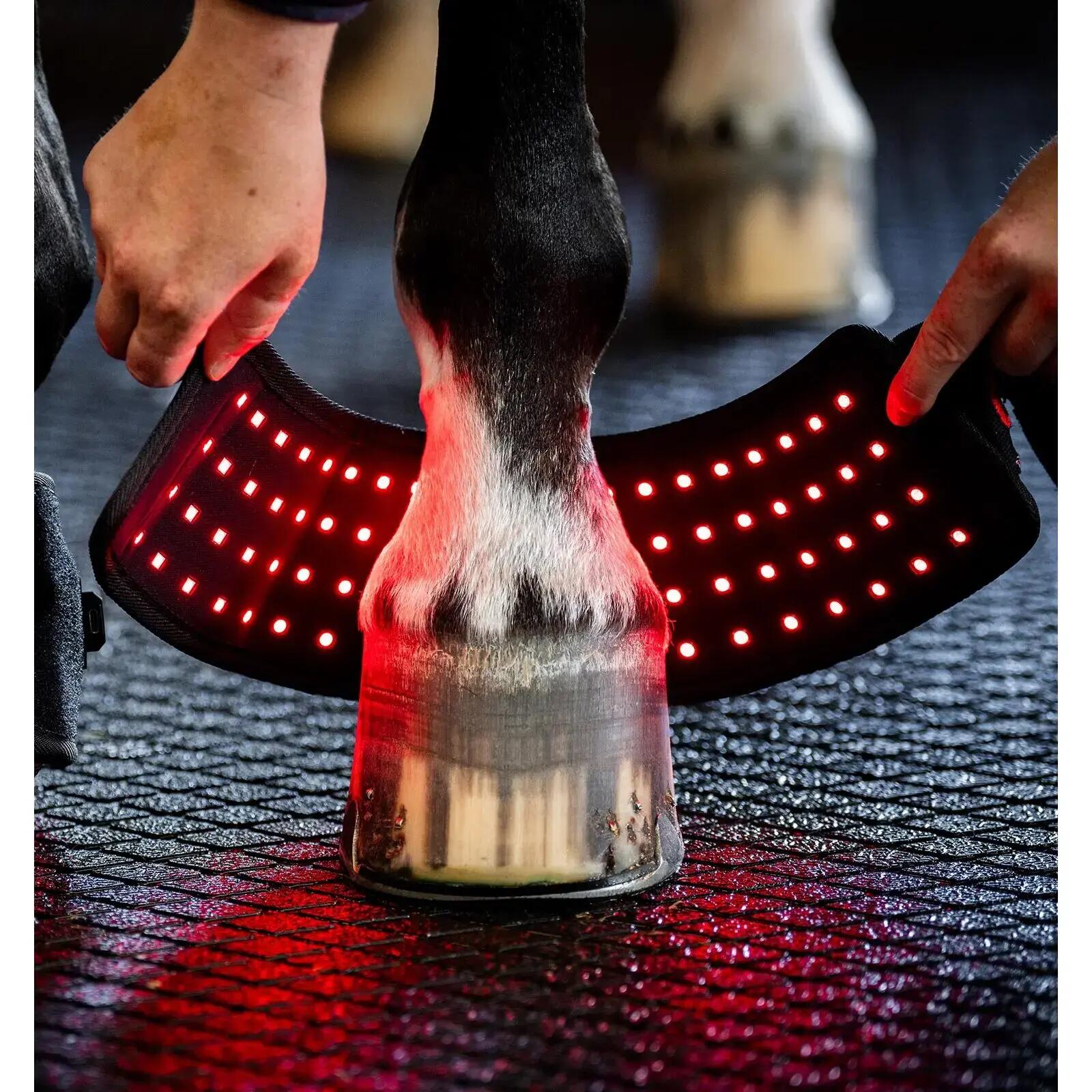 Mini fényterápiás lócsengők Horseware 3/5