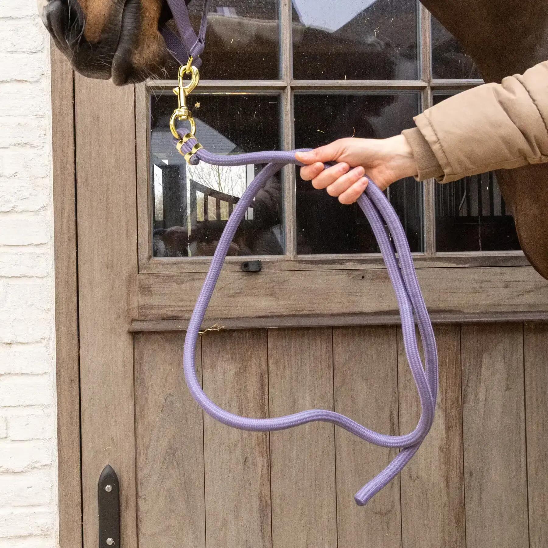 Longe équitation Kentucky Horsewear Basic 2/2