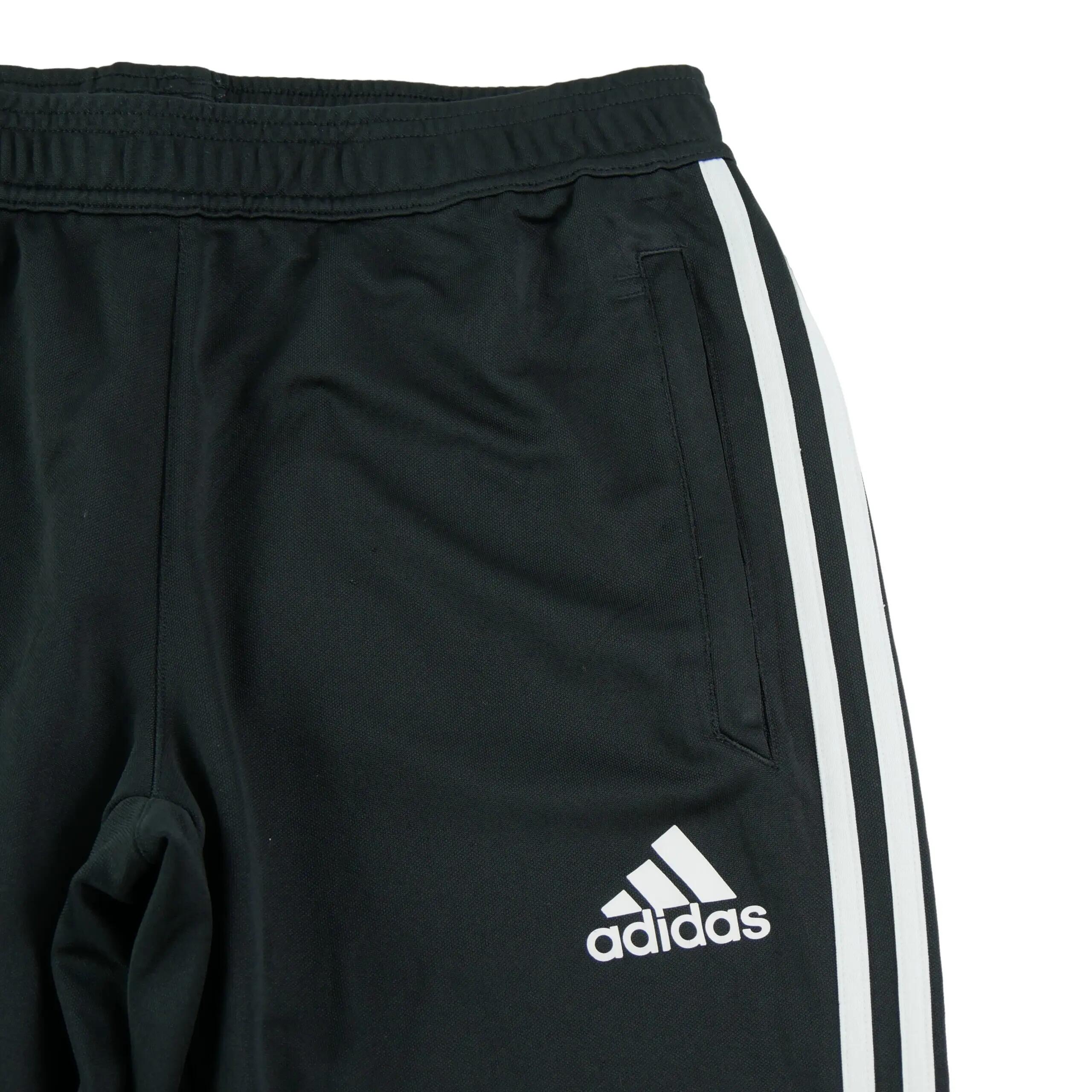 Joggings Herren Tiro 17 Training Pants 3/11